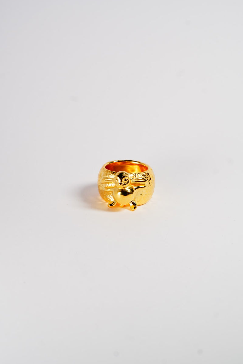 Happy Bunny sleeping under the sun