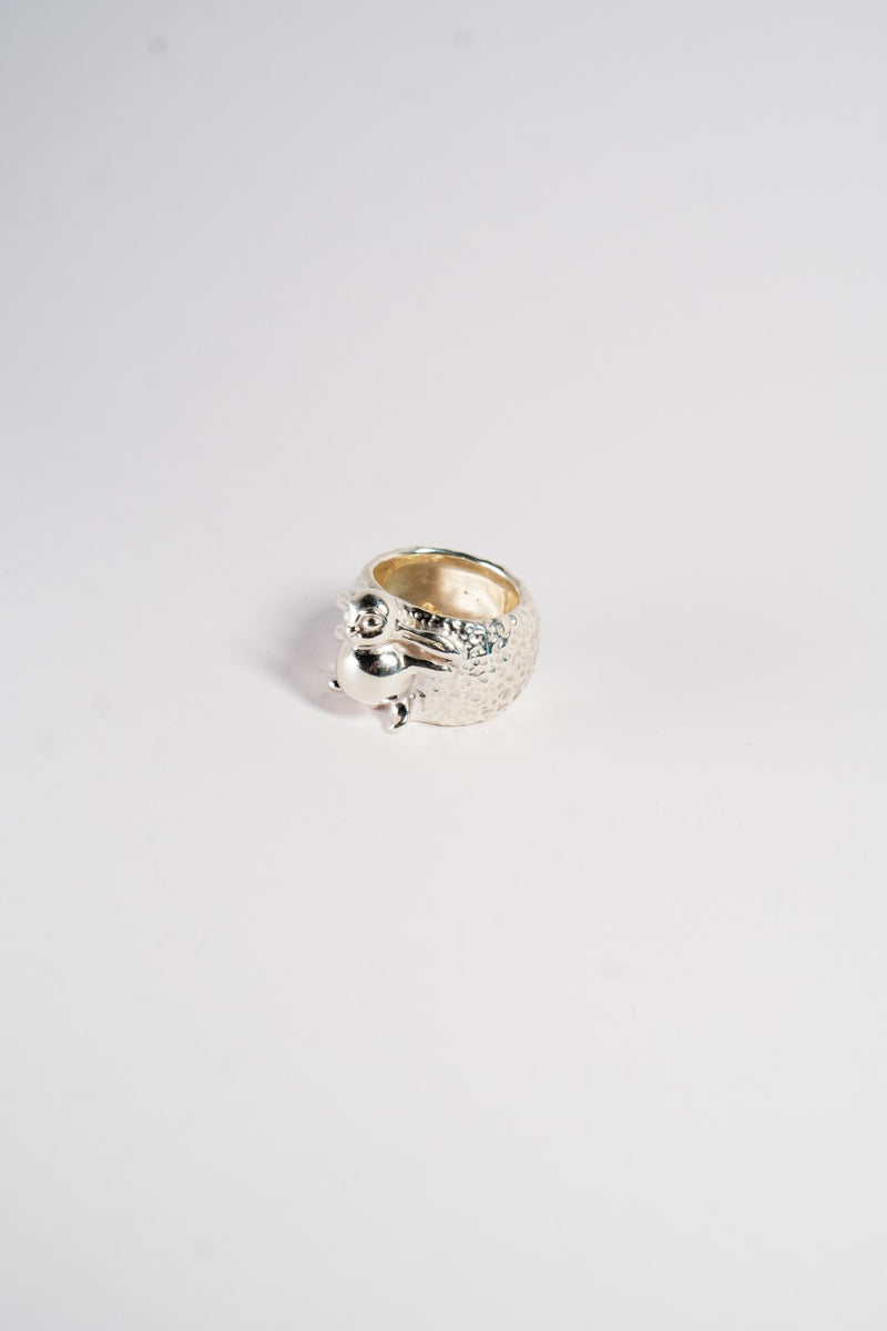 Happy Bunny sleeping under the sun